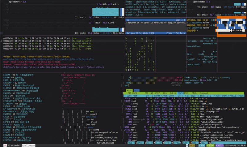 第230828期 - hollywood