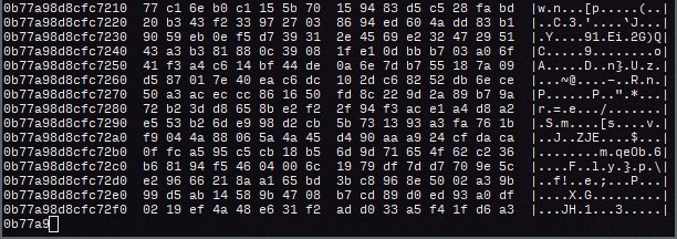 第240114期 - genact