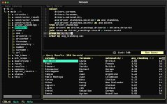 第240127期 - 终端sql