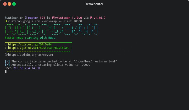 第240725期 - rustscan