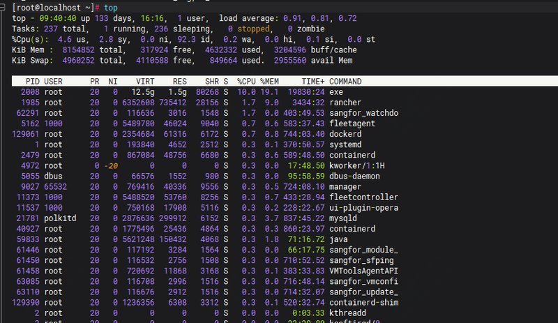第240813期 - linux